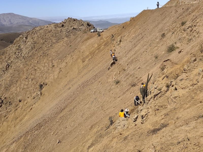 Image for the Tweet beginning: The work at Los Chapitos